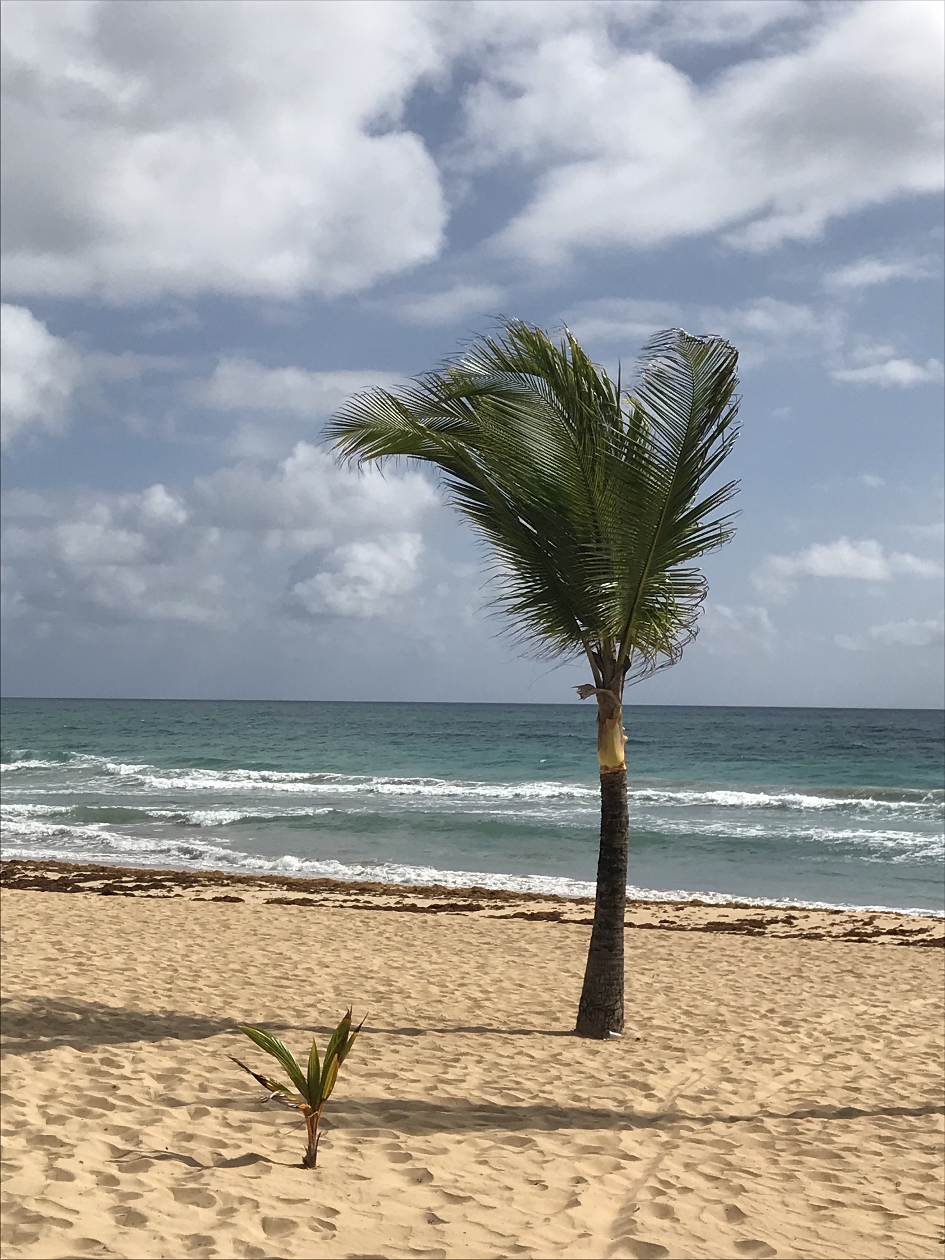 punta cana, dominican republic